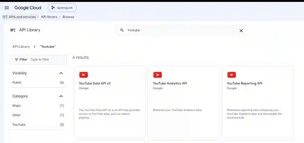 Enable Youtube APIs